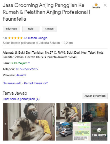 Review Google Grooming Anjing
