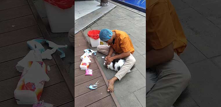 Jasa Grooming Kucing Jakarta Barat