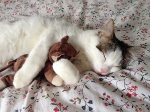 Sering Tidur