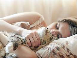 Bahaya Tidur Dengan Kucing Bagi Kesehatan