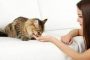Manfaat Merawat Kucing Bagi Manusia dan Lingkungan Rumah