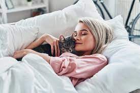 Manfaat Tidur Dengan Kucing