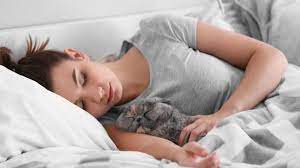 Yuk, Ketahui Manfaat Tidur Dengan Kucing bagi Pecinta Hewan
