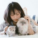 8 Alasan Memelihara Kucing Bagi Lingkungan Rumah dan Manusia
