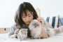 8 Alasan Memelihara Kucing Bagi Lingkungan Rumah dan Manusia