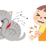 Alergi Bulu Kucing Pada Kulit