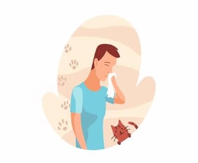 Alergi Kucing, Ciri-Ciri Alergi Kucing Ini Penyebab dan Cara Mengatasinya