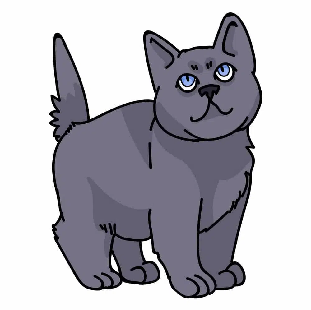 Kucing Cacingan
