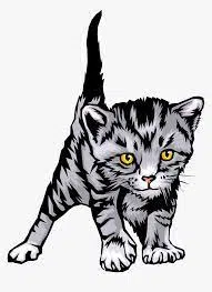 Kucing Galak, Cara Menjinakan Kucing Galak Paling Mudah