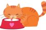Takaran Susu Bear Brand untuk Kucing Sakit