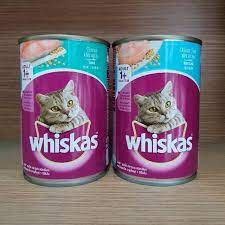 Apa itu Whiskas, 5 Cara Memberi Makan Kucing Dengan Whiskas Basah