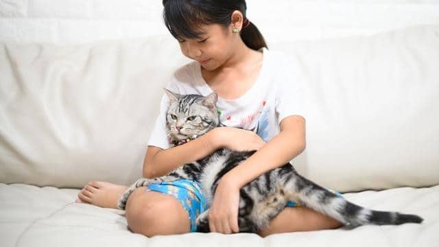 Mengenali Siapa yang Mengelusnya, kucing mendengkur saat dielus