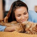 7 Penyebab Kucing Mendengkur dan Manja Patut Diketahui