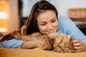 7 Penyebab Kucing Mendengkur dan Manja Patut Diketahui