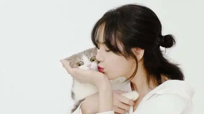 leo nama kucing lisa blackpink