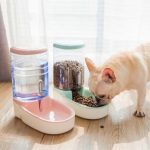 10 Dispenser Makanan Kucing Otomatis Dan Praktis, Rekomendasi Terbaik