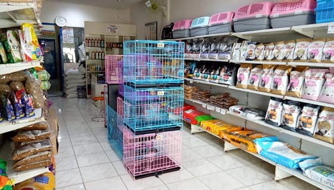 8 Toko Petshop Medan Terlengkap 2025 Harga Murah Beserta Alamatnya