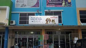 Klinik Hewan Alaska karawang