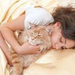 Hukum Tidur Bersama Kucing Menurut Islam, Bolehkah Ini Penjelasannya
