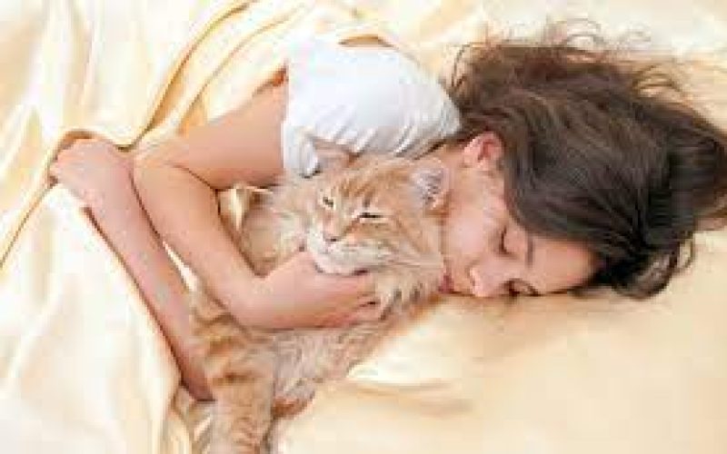 Hukum Tidur Bersama Kucing Menurut Islam, Bolehkah? Ini Penjelasannya
