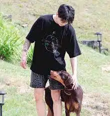 Sifat Karakteristik Anjing Jungkook