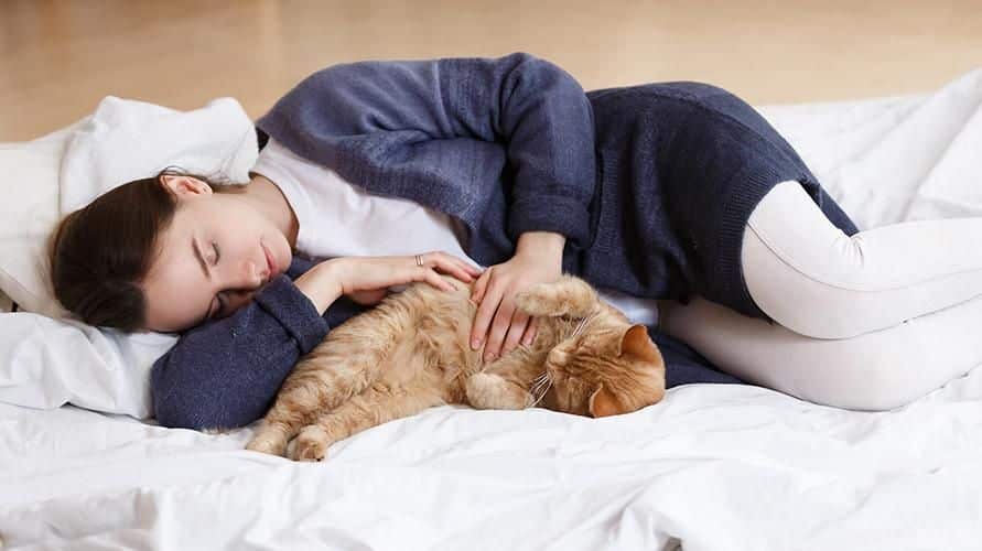 perhatikan Tidur Bersama Kucing Menurut Islam