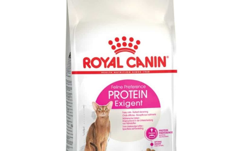 25 Makanan Kucing Jenis Royal Canin Untuk Gemuk Beserta Harganya Menjadi Rekomendasi 2023