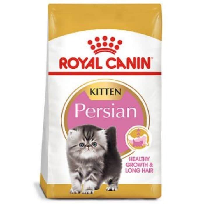 Jenis Royal Canin Untuk Gemuk persian kitten
