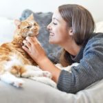 10 Manfaat Memelihara Kucing Dirumah Bagi Lingkungan dan Manusia 2023