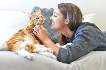 10 Manfaat Memelihara Kucing Dirumah Bagi Lingkungan dan Manusia 2025