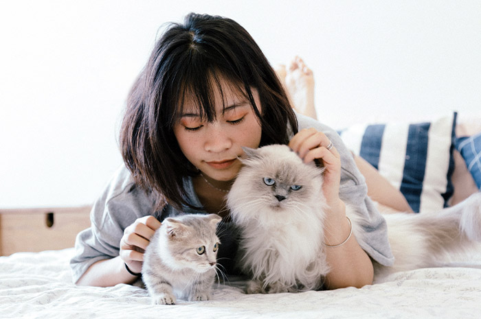 Manfaat Memelihara Kucing Bagi Manusia