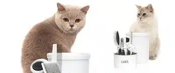 Jasa Grooming Kucing Di Gayungan Surabaya, Jasa Panggilan Grooming Kucing Terdekat Harga Murah 2025