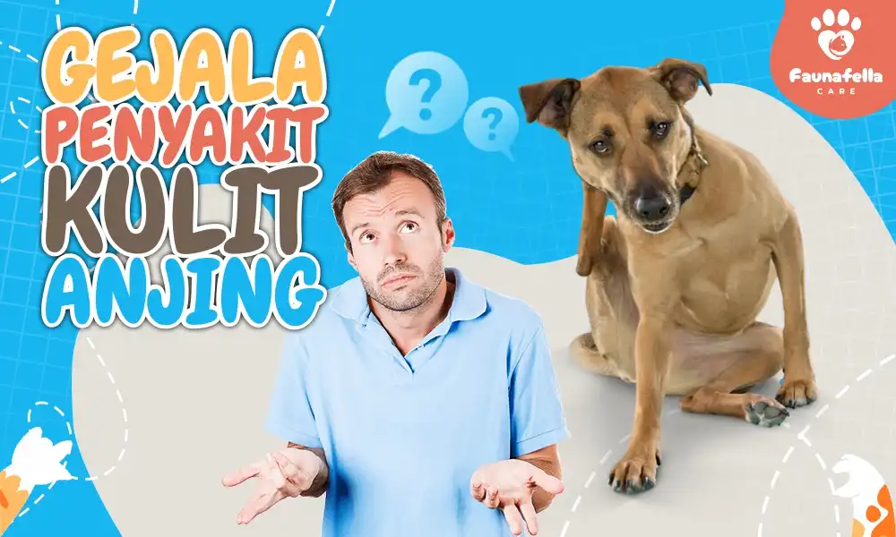 Gejala Penyakit Kulit Anjing
