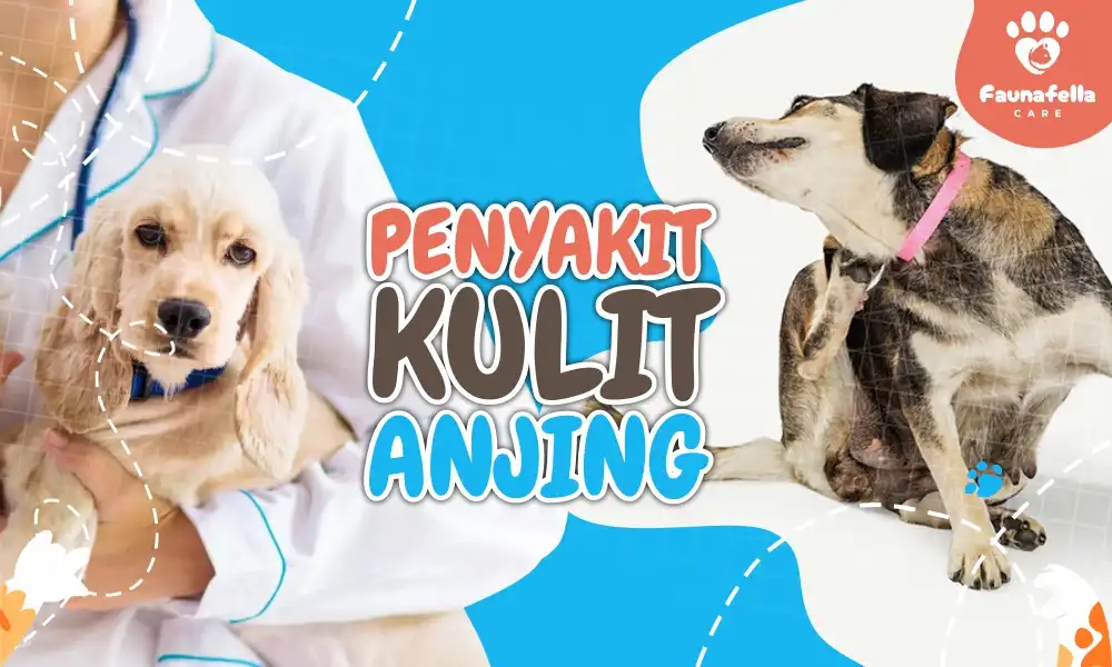 Jamur Bulu Anjing