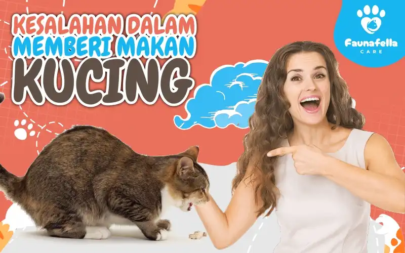 Kesalahan Memberi Makan Kucing