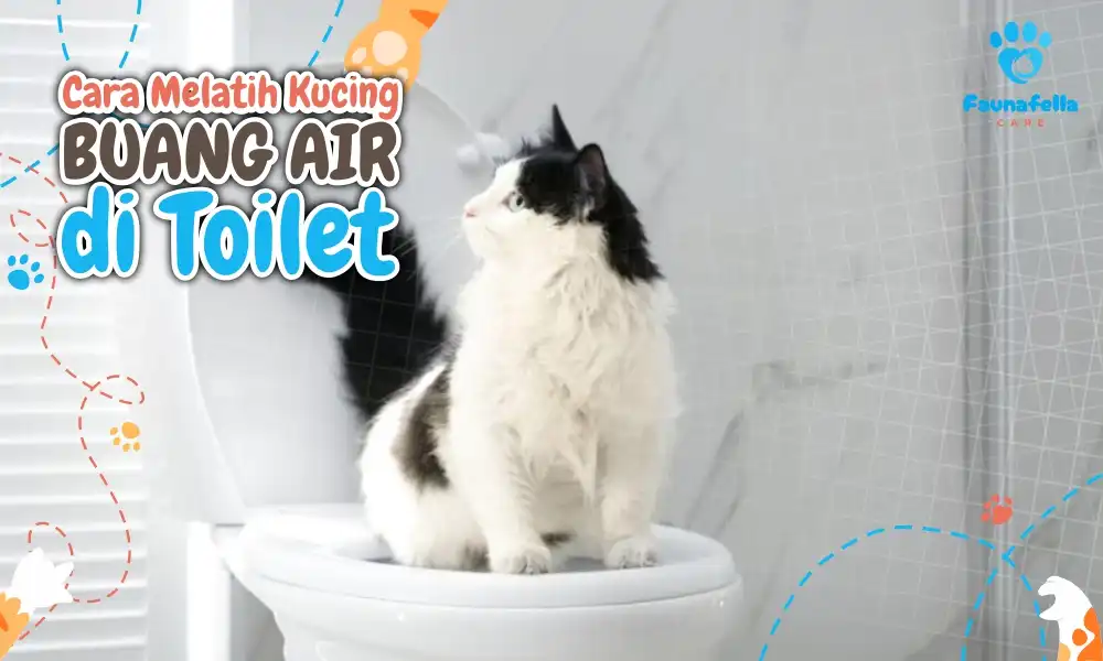 Melatih Kucing Buang Air