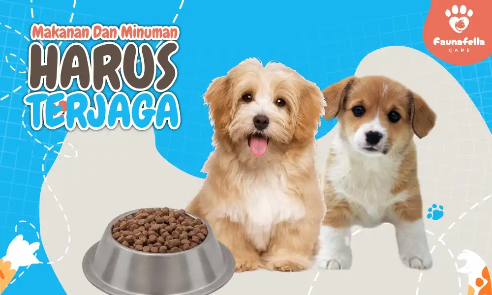 Merawat Makanan Anak Anjing