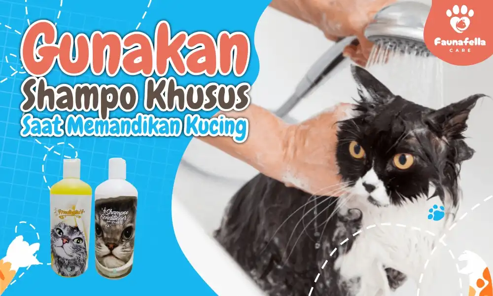 Shampo Khusus Kucing