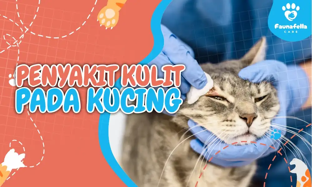 Berbagai Penyakit Kulit Pada Kucing