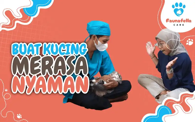 Buat Kucing Berada Dalam Kondisi Nyaman