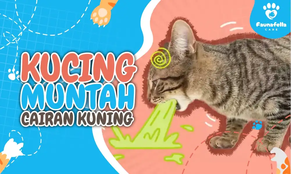 Ciri dan Cara Mengobati Kucing Muntah Kuning
