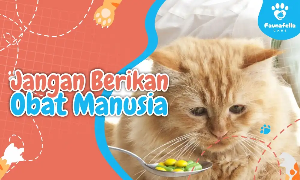 Jangan Berikan Obat Manusia