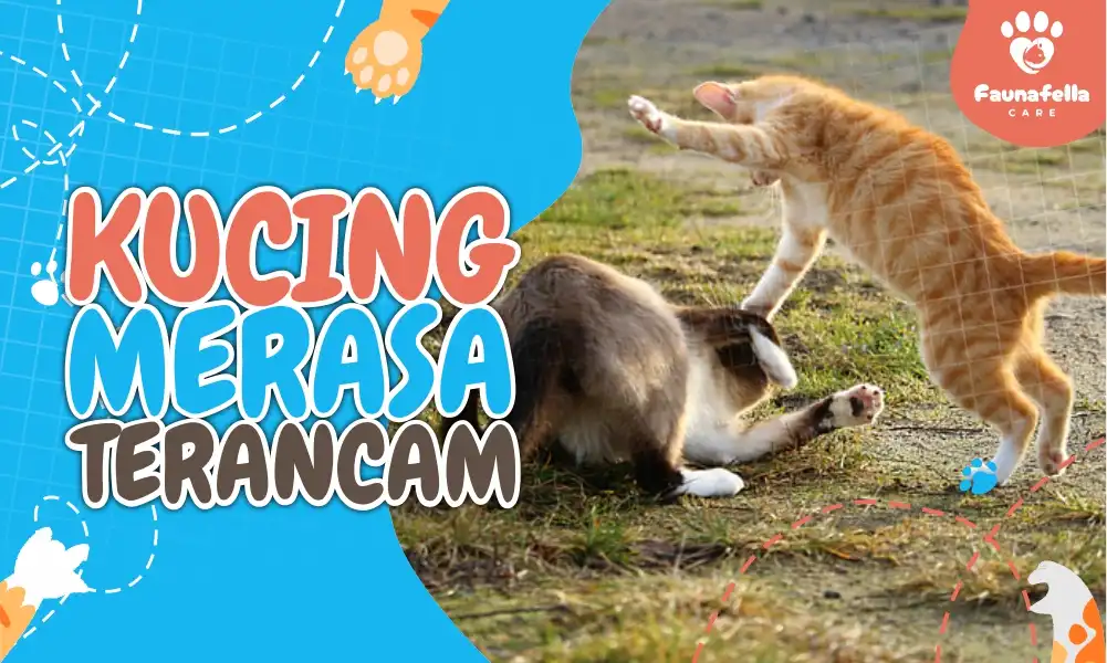 Kucing Merasa Terancam