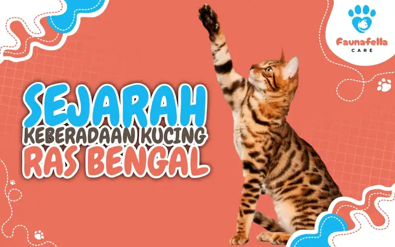 Sejarah Keberadaan Kucing Bengal
