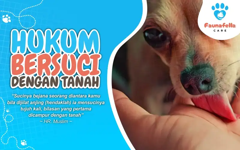 Bersuci Dari Liaur Dijilat Anjing