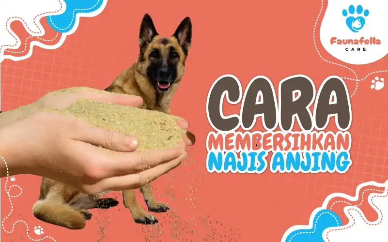 Membersihkan Najis Dengan Tanah Pasir